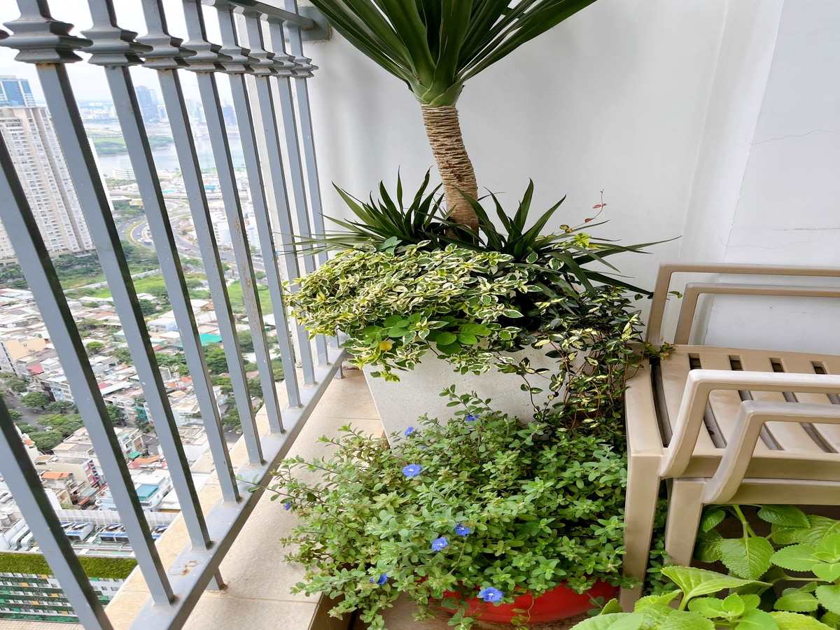 Bộ bàn ghế nhỏ xinh